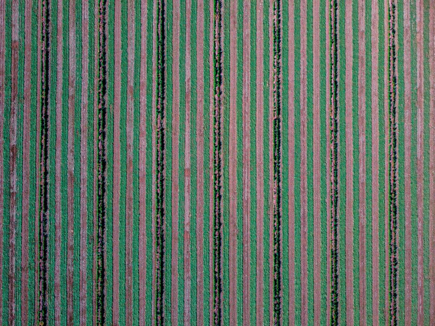 Agriculture